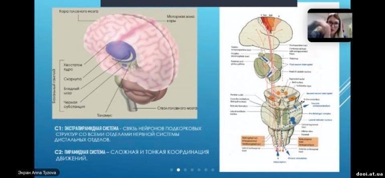 Проєкт «Інклюзивні послуги для всіх»