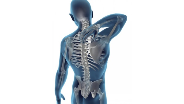 Скоро можно будет чинить спинной мозг