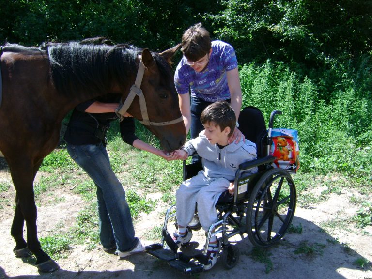 Иппотерапие – в Авдеевке быть!